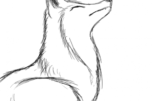 Срисовка карандашом легко