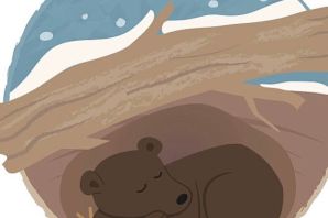 Рисунок ежик в спячке