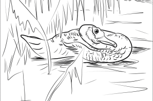 Раскраски мамин сибиряк