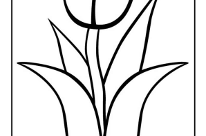 Тюльпаны для срисовки