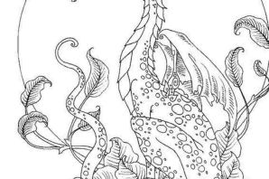Дракон рисунок раскраска
