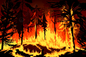 Лесной пожар рисунок