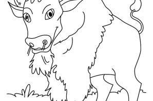 Зубр раскраска для детей