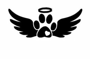 Собака с крыльями рисунок