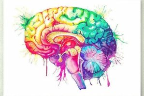 Мозг рисунок для детей