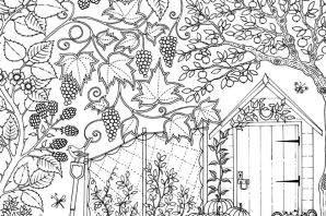 Раскраски природа сложные