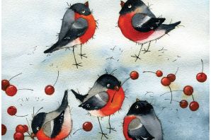 Снегирь в кормушке рисунок