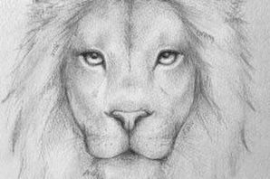 Лев рисунок легкий