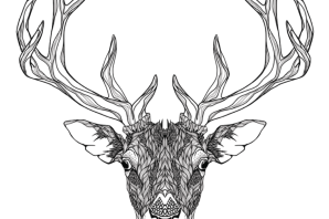 Рисунок марала