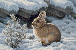 Рисунок звери зимой