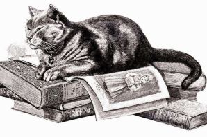 Кот ученый рисунок