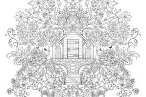 Таинственный сад раскраска