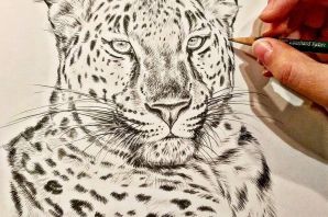 Леопард эскиз