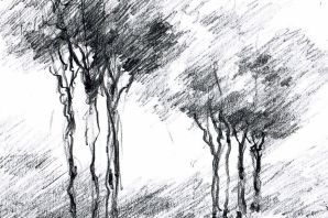 Пейзаж штрихами