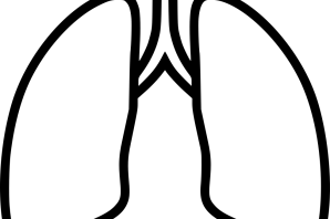 Легкие контурные рисунки