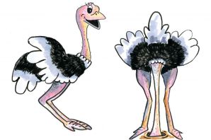 Страус рисунок для детей