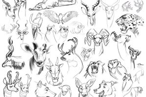 Рисунки разных животных