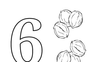 Сандар раскраска