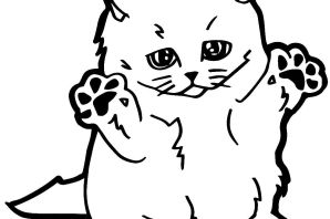 Вислоухая кошка рисунок