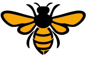 Трафарет пчелки