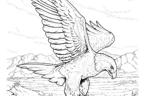 Коршун рисунок для детей