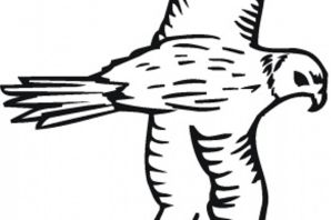 Сокол рисунок карандашом