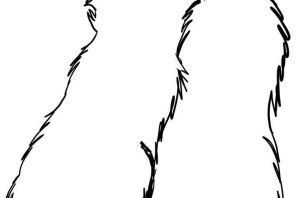 Рисунки для обрисовки