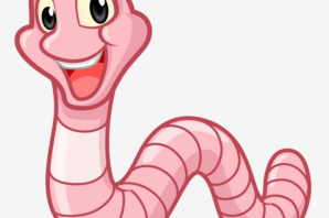 Червь иллюстрации