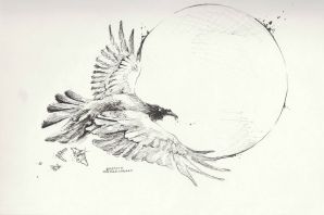 Птица в полете рисунок