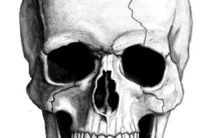 Череп рисунок легкий