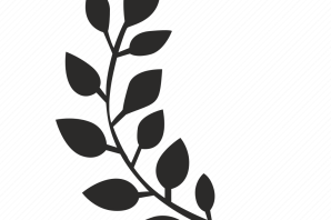 Рисунок веточка лавра