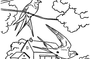 Рисунок на тему прилет птиц