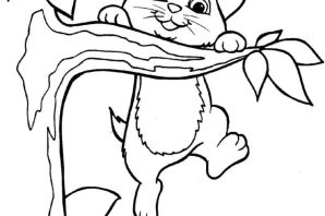 Котенок раскраска для детей