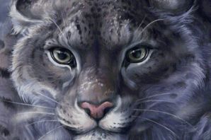 Ирбис рисунок