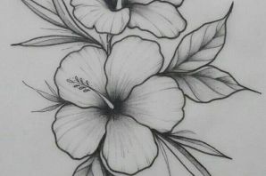 Цветы для срисовки легкие