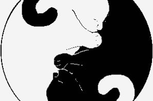 Раскраска инь янь