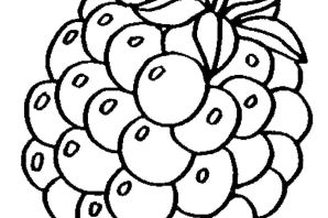 Раскраски фрукты и ягоды