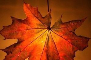 Последний лист иллюстрации