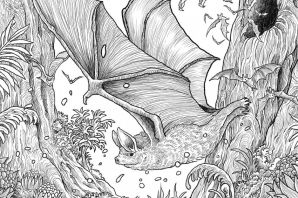 Раскраска мифоморфозы