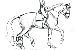 Всадник на лошади рисунок