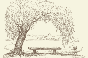 Береза скетч