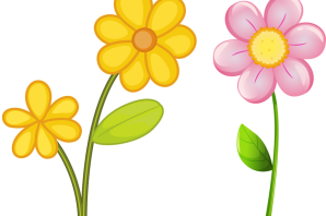 Лютик рисунок