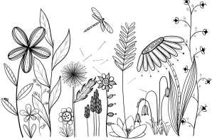 Раскраска луг с цветами