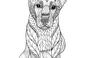 Раскраска овчарка