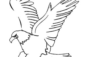 Коршун рисунок