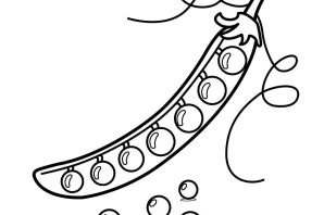 Горошина рисунок