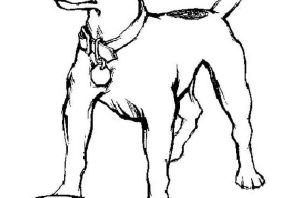 Лицо собаки раскраска