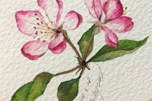 Веточка яблони рисунок