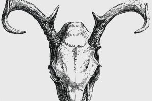 Череп козла рисунок