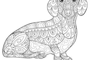 Такса раскраска для детей